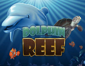Dolphin Reef Mega888 Slot